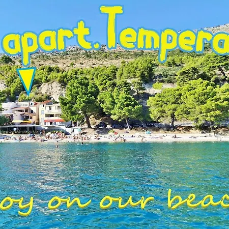 Tempera X- Terrace, Sun And *